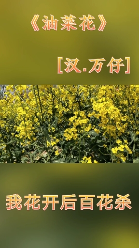 #油菜花#闻着油菜花的芬芳,借此,让我也当回诗人,呵呵。