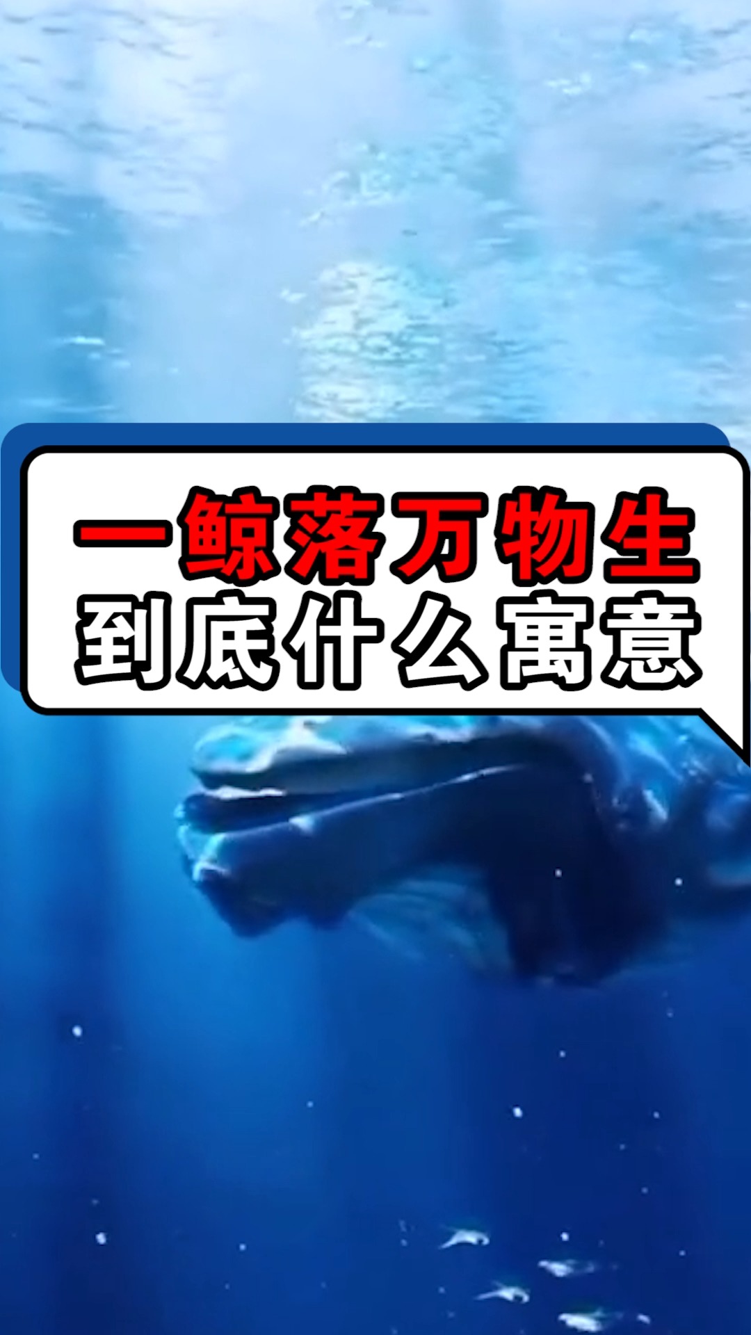 一鲸落万物生的含义你知道吗