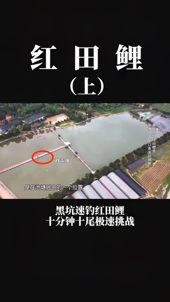 接下来会更新特色鱼种篇喜欢钓鱼的朋友留个关注哦红田鲤