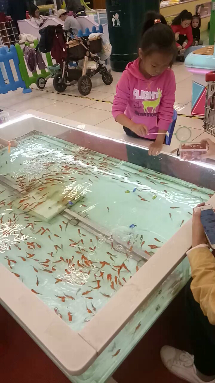 小鱼又跑掉了,快点加油啊。