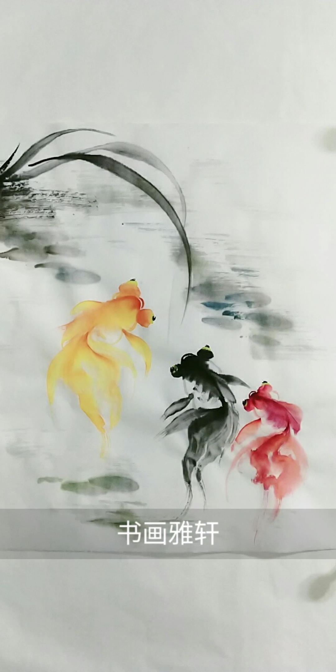 #中国画#给金鱼配水草,祝大家六时吉祥!