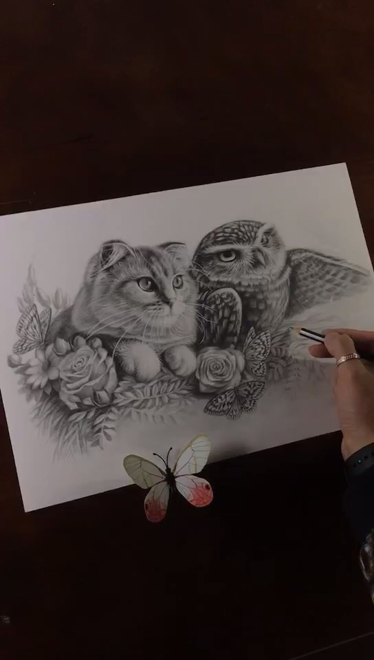 原创素描插画课程教学,<<猫和猫头鹰的约会>>这是猫和猫头鹰洒着狗粮呀
