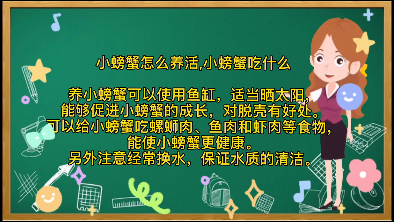 小螃蟹吃什么怎么养,一起来学习吧!