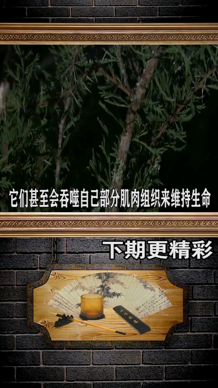 天啊!这种鱼居然这么坚强,才知道