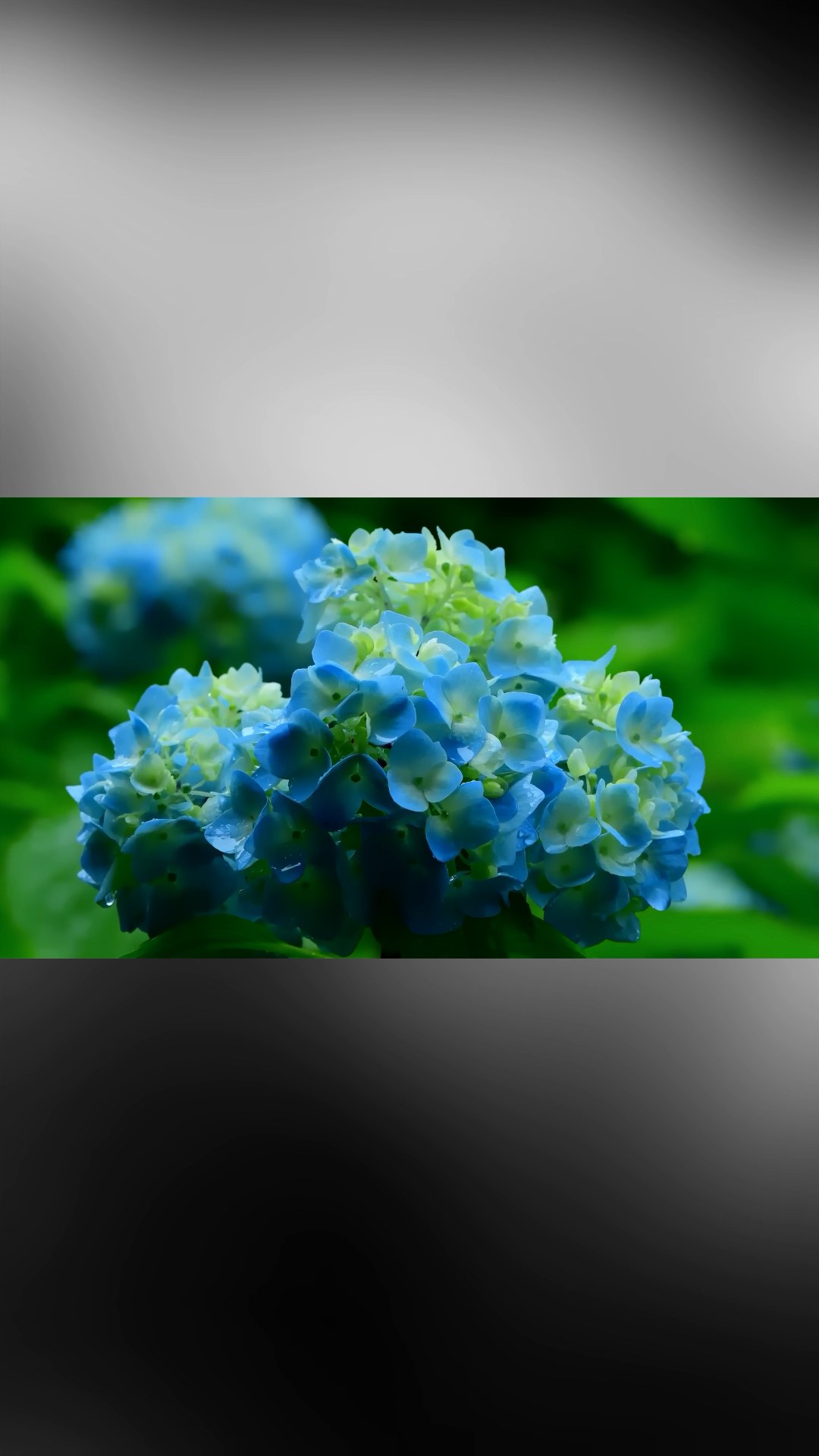 “螃蟹在剥我的壳,笔记本在写我漫天的我落在枫叶上,而你在想我。”
