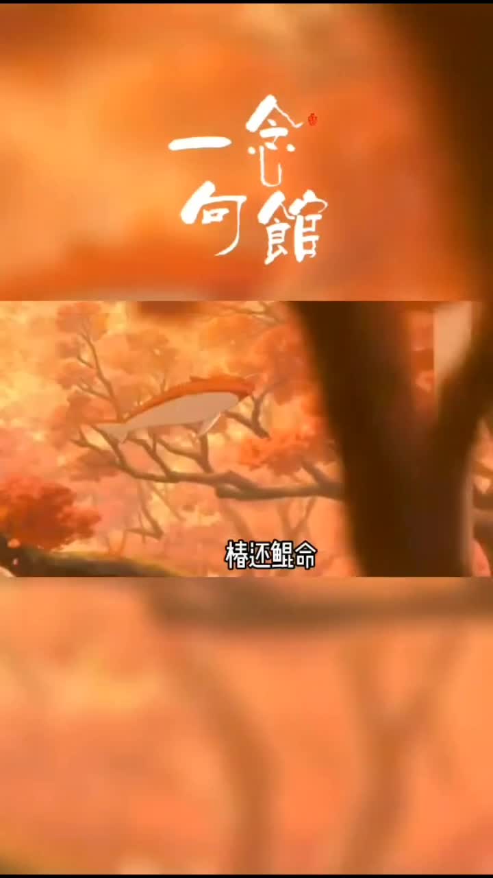 北冥有鱼,其名为鲲。