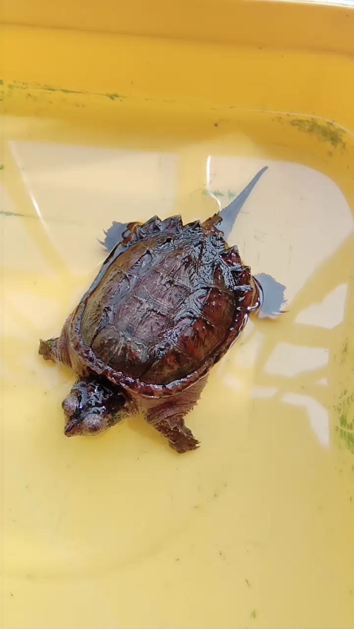 分享视频