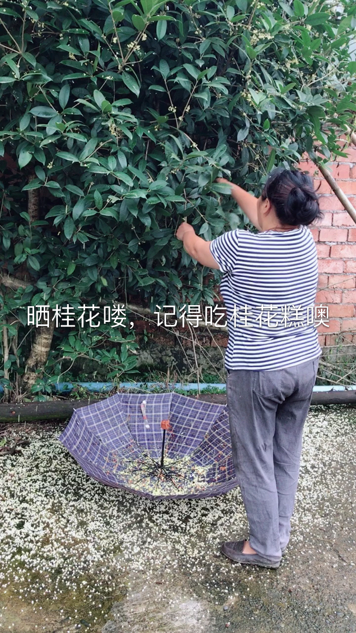 祝大家月圆快乐!