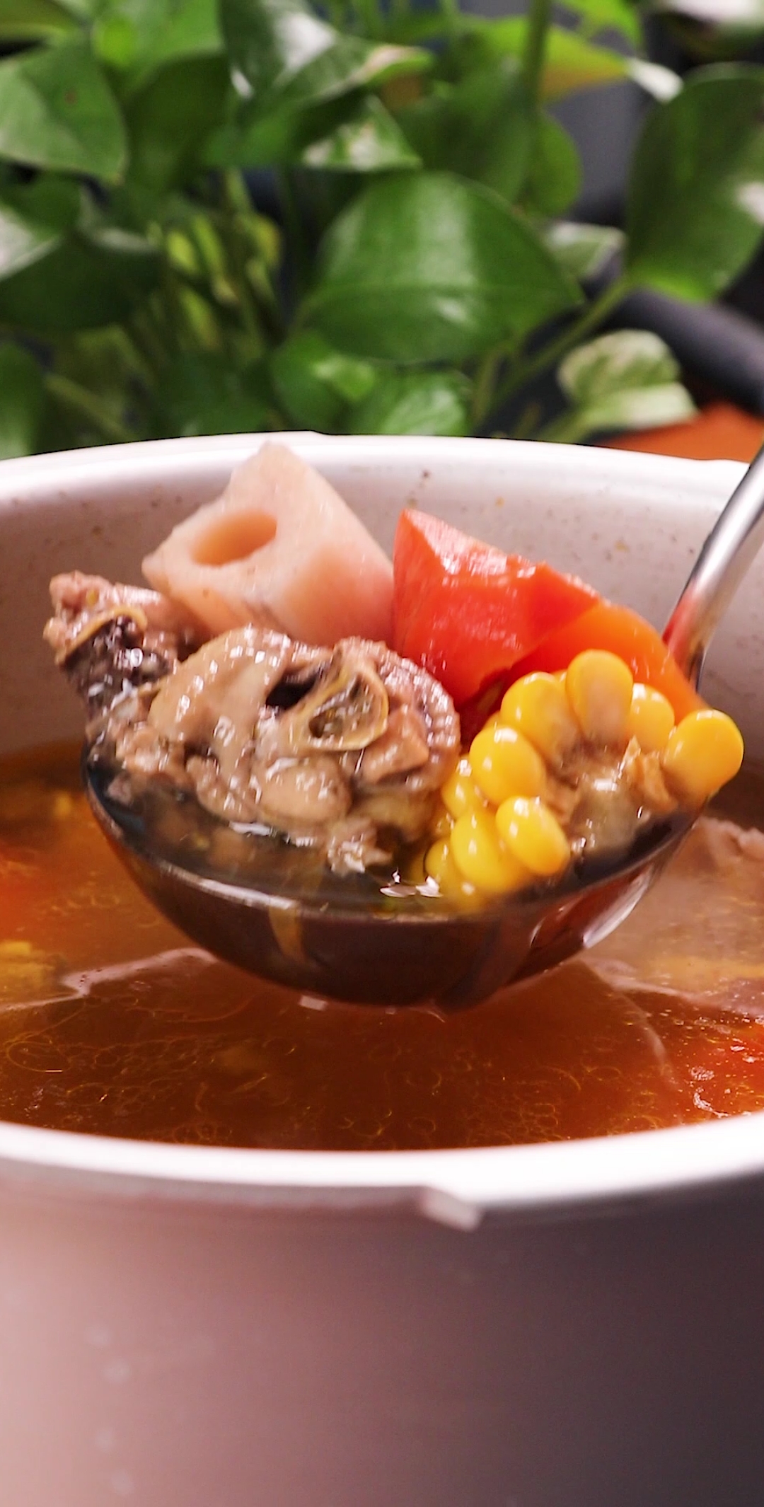 天儿冷了,给家人炖个鸡汤喝
