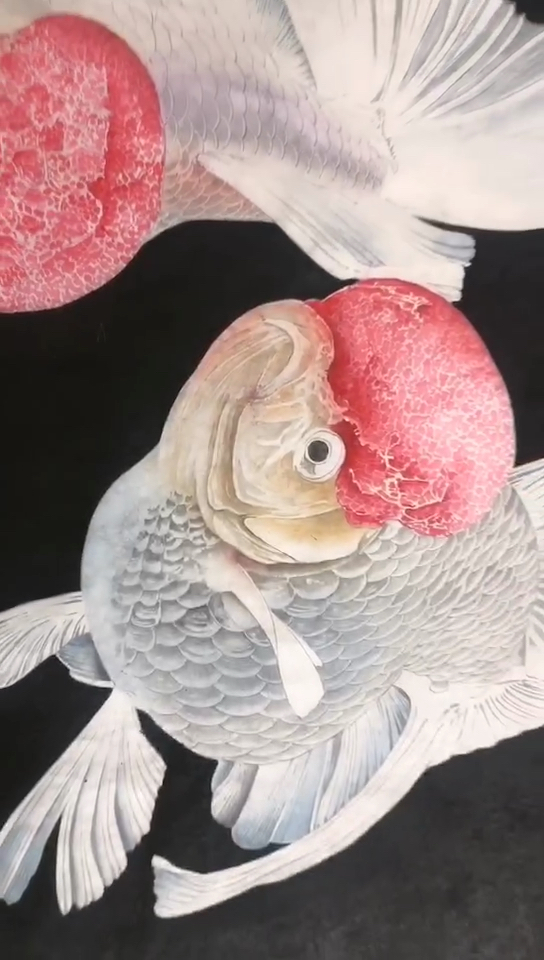 #艺惠藏#吕少杰工笔花鸟画画鱼