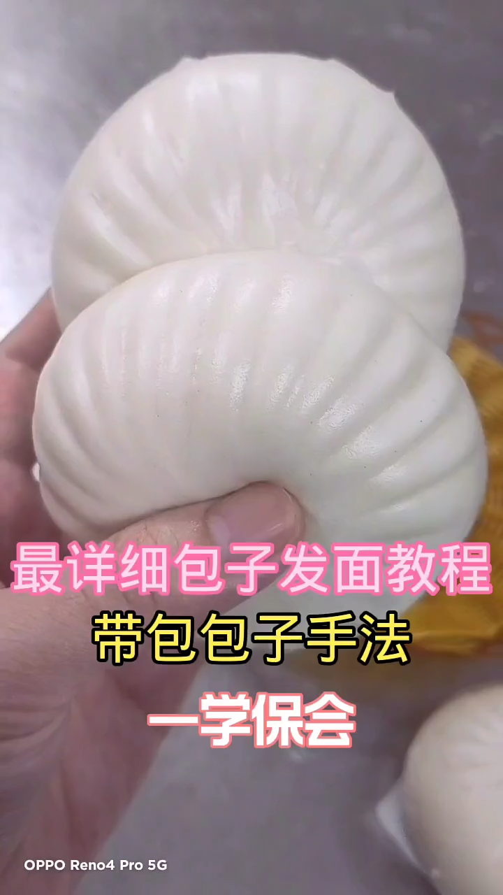 怎样发面蒸包子?