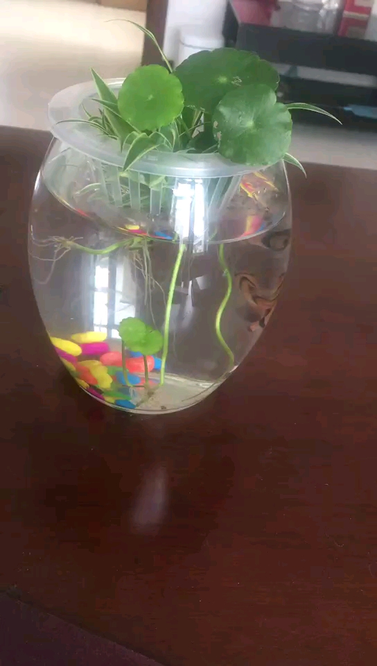新成员