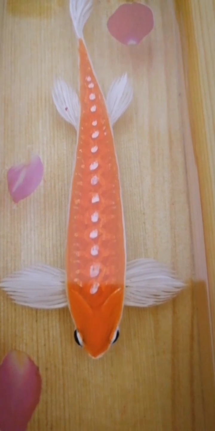 #树脂画#树脂画:《盒子里的鱼》,谢谢观赏