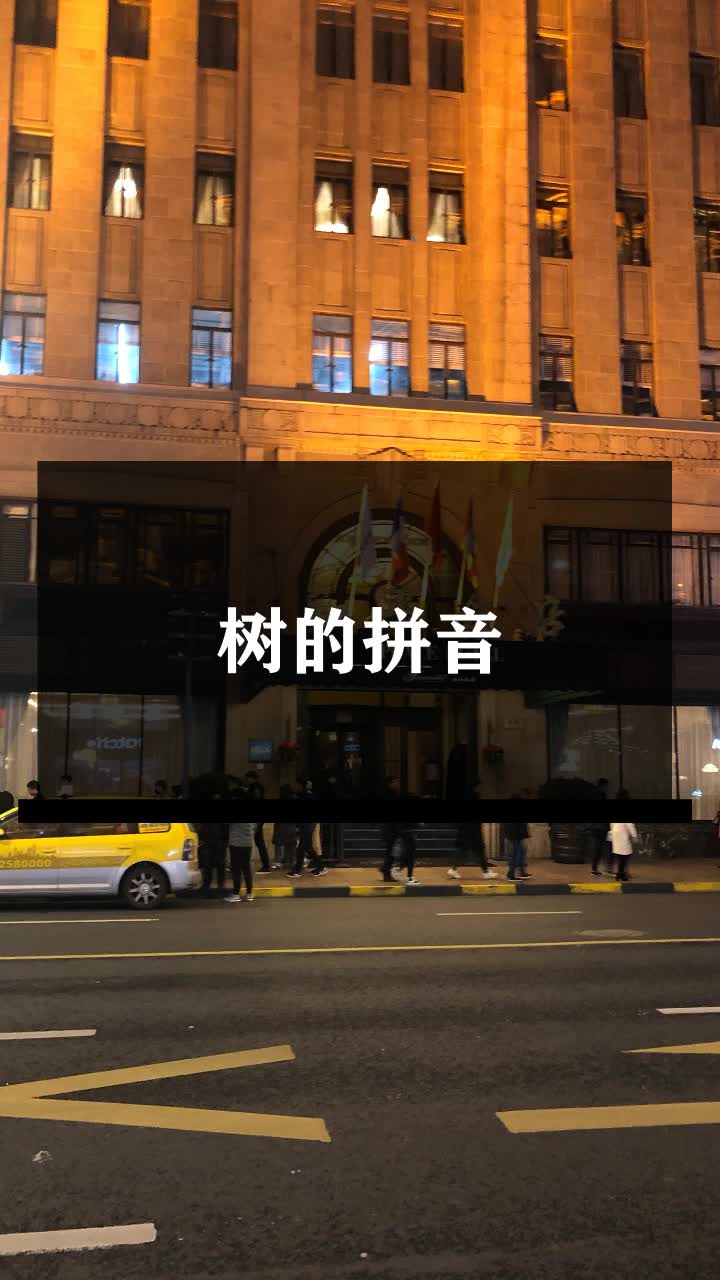 树的拼音