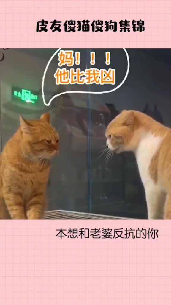 #皮皮虾今日好笑,#搞笑,#女人,翻身什么的,这辈子都不可能的