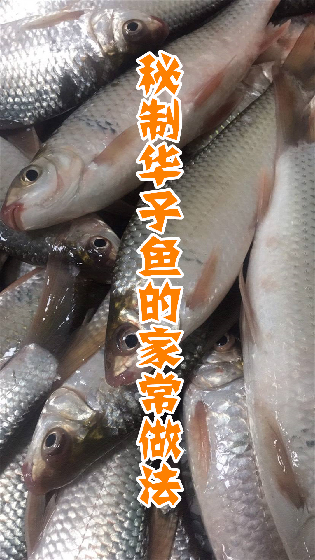秘制华子鱼的家常做法