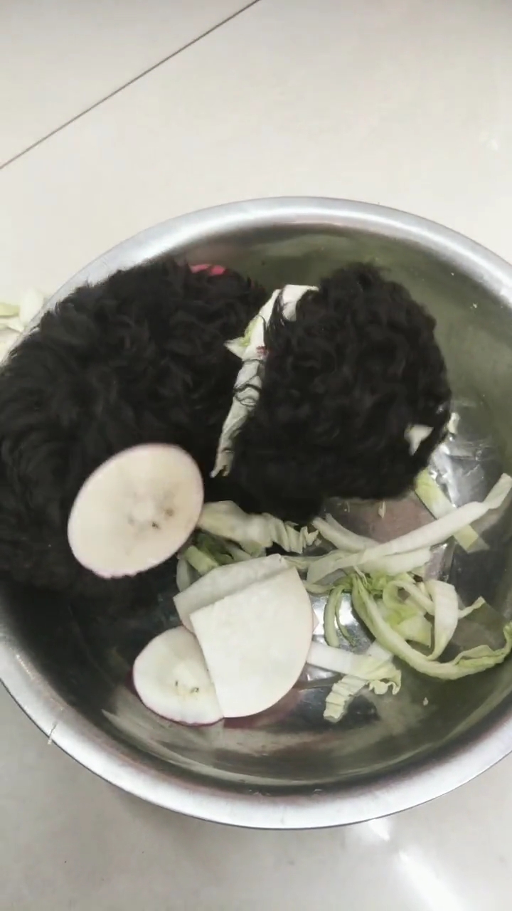 #我家萌宠成精了#狗肉汤做法。