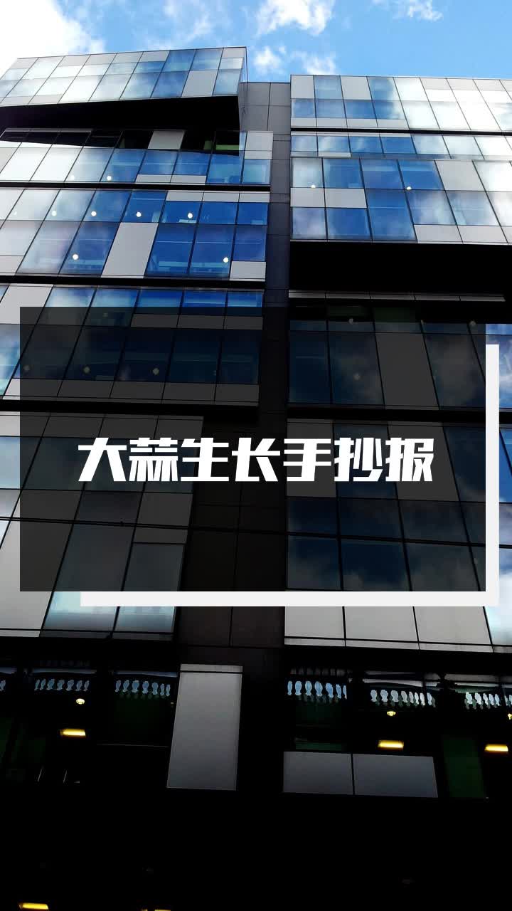大蒜生长手抄报