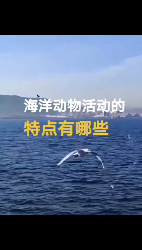 海洋动物活动的特点有哪些