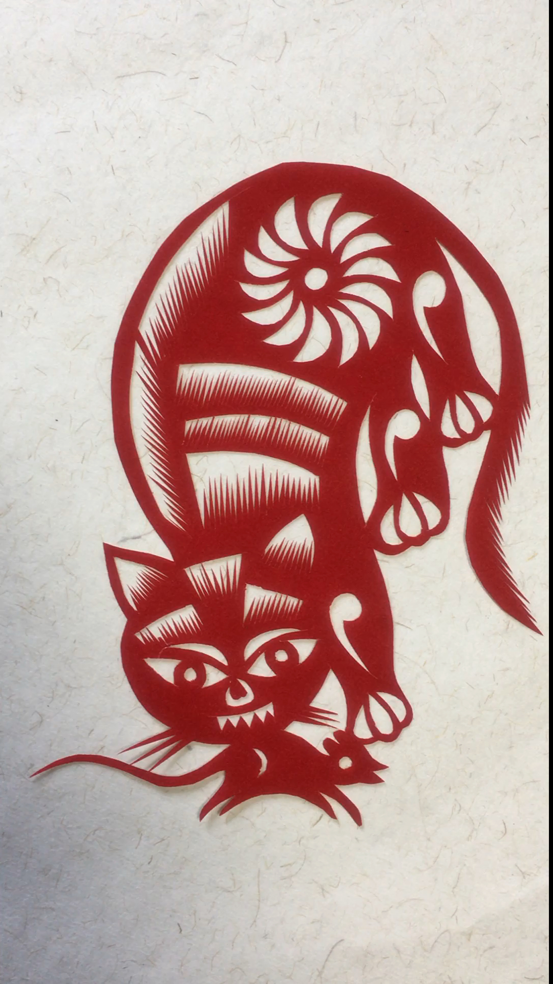 猫和老鼠是这样的