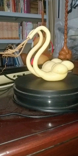 一对小天鹅