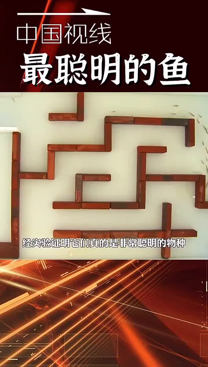 你喜欢吃鱼头吗