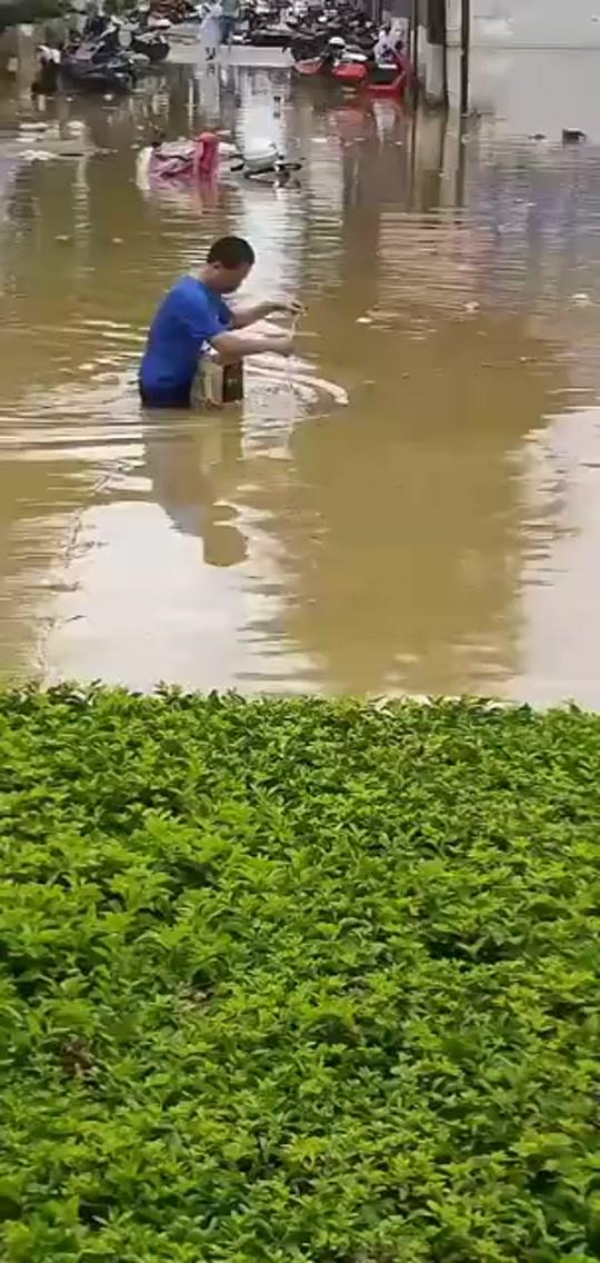 广西南宁武鸣下暴雨,市民街上捡鱼!