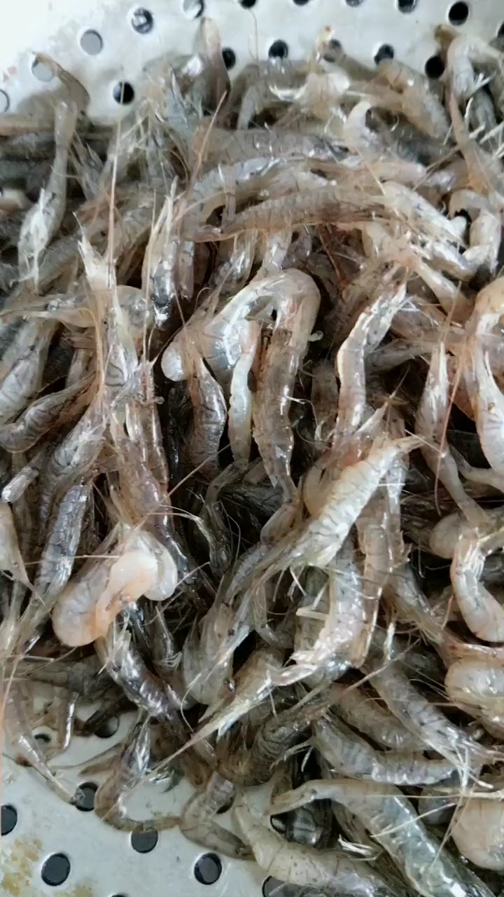 喜哥教你炸小河虾的做法