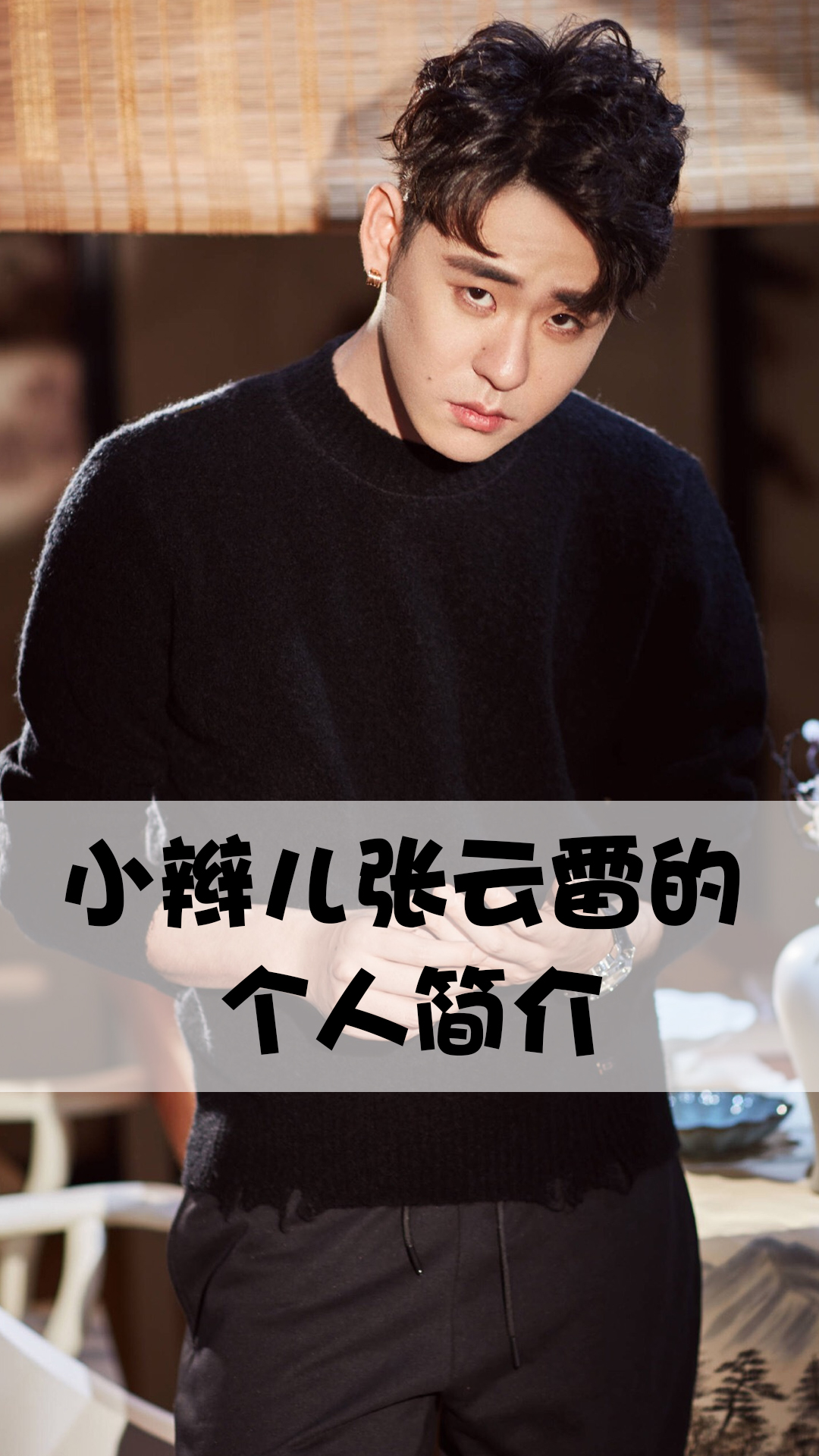 小辫儿张云雷的个人简介