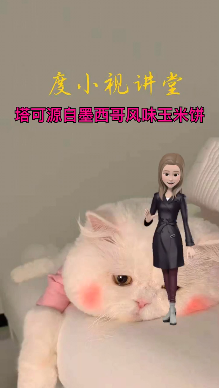 taco是什么食物??
