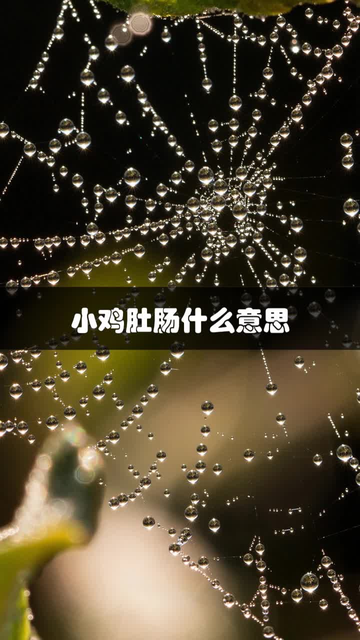 小鸡肚肠什么意思