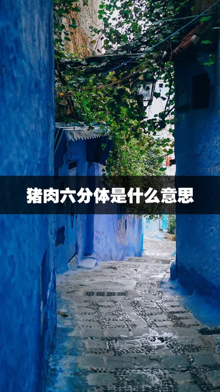 猪肉六分体是什么意思