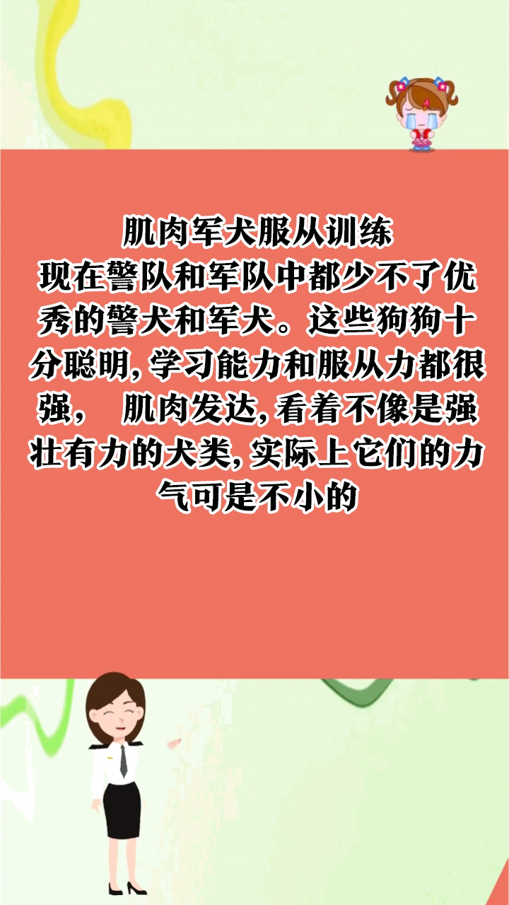 肌肉军犬服从训练