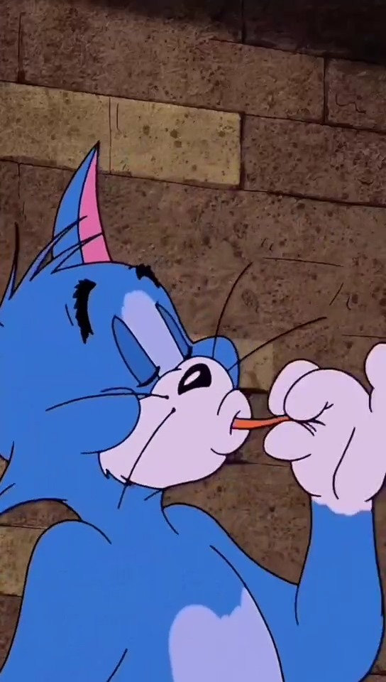 #动漫剪辑#动漫剪辑 ,送你一张壁纸 #治愈 #猫和老鼠 #高清视频