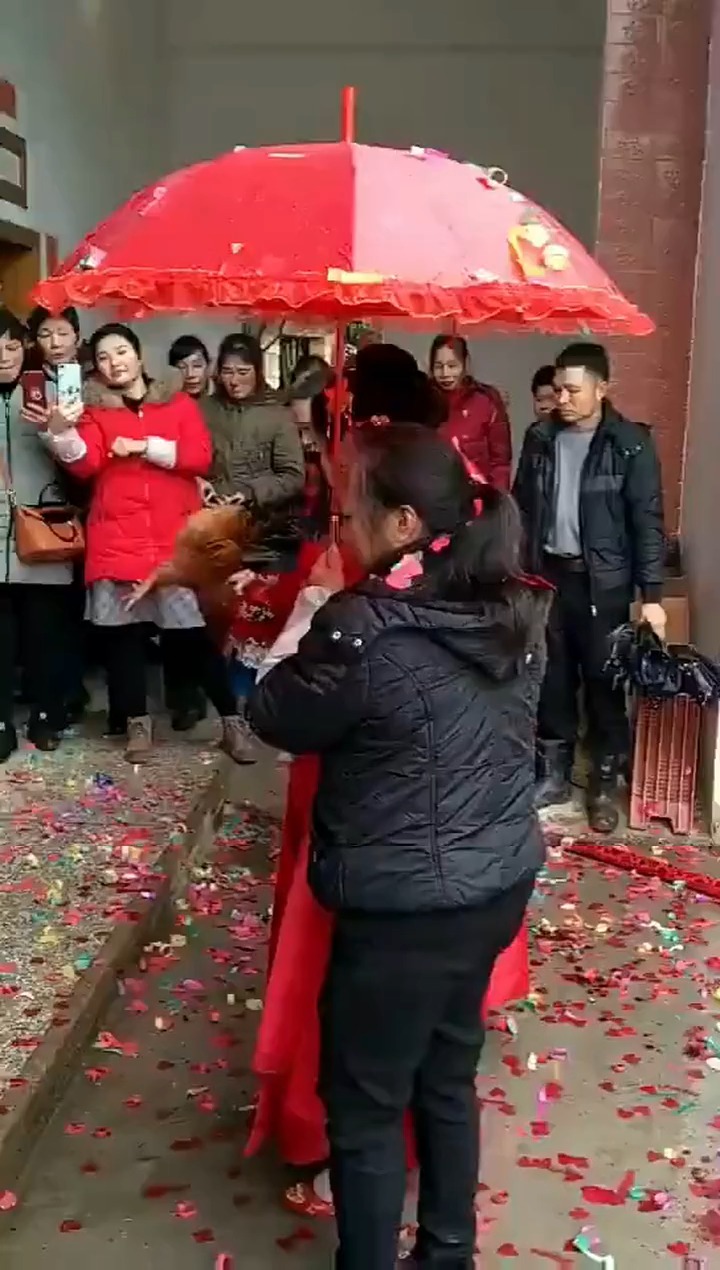 #明星娱乐#撒公鸡血,就能娶进门了