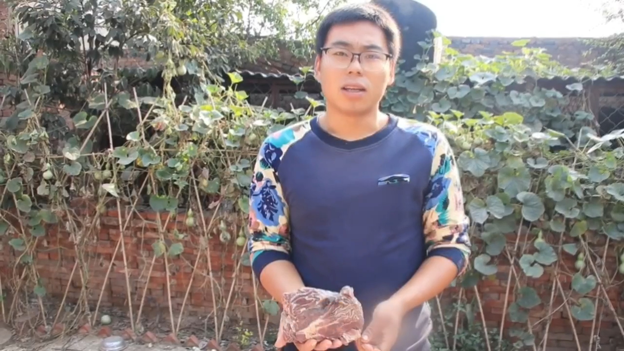 骆驼肉的家常做法大全