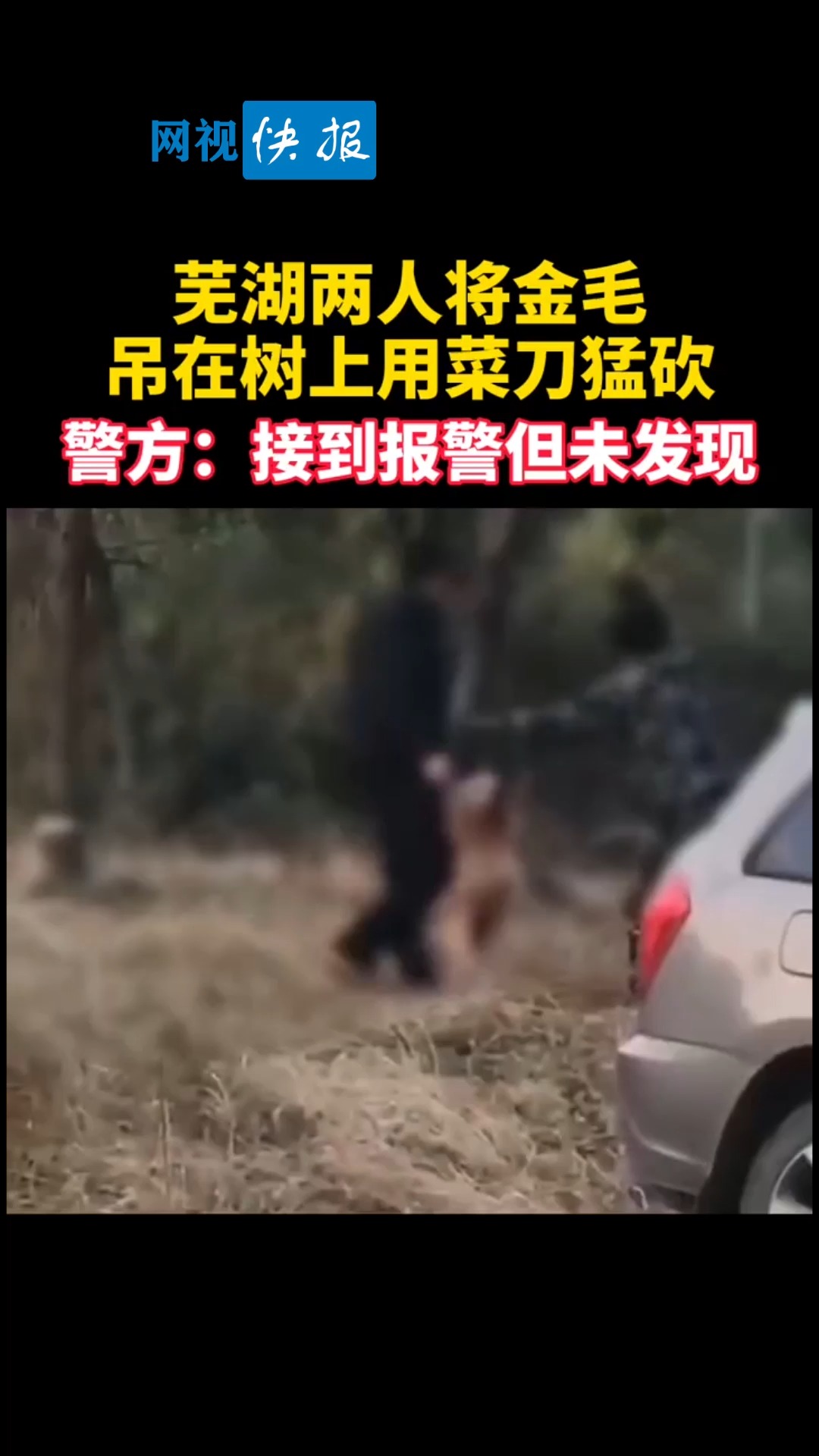 #全民正能量#芜湖两人将金毛吊在树上用菜刀猛砍,警方:接到报警但未发现