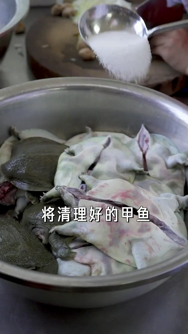 卤甲鱼教程视频。
