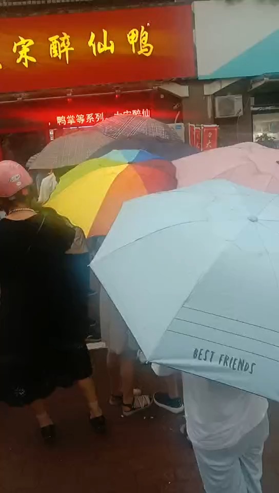 大宋醉仙鸭