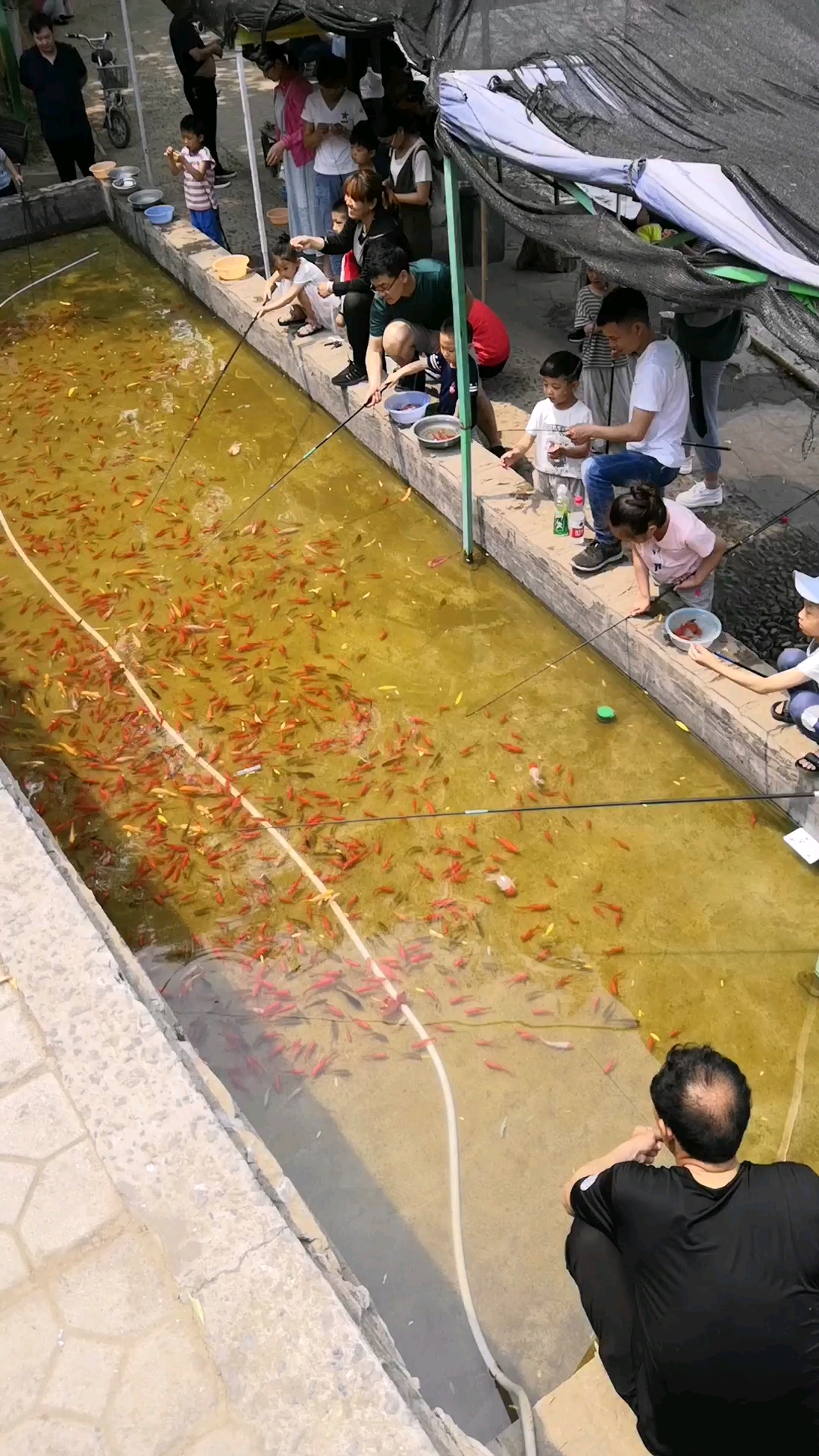 雕鱼