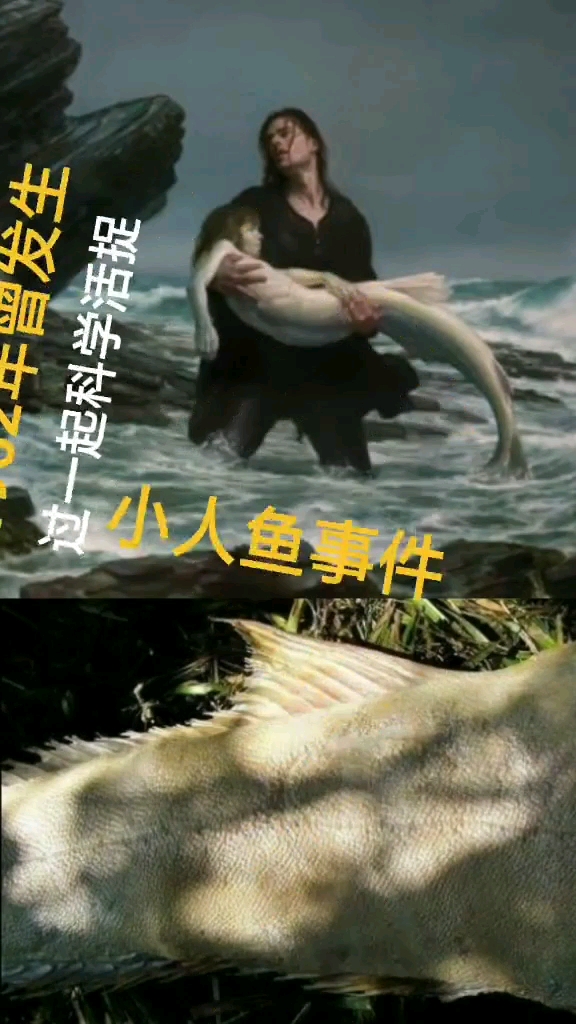 发生过一起科学活捉