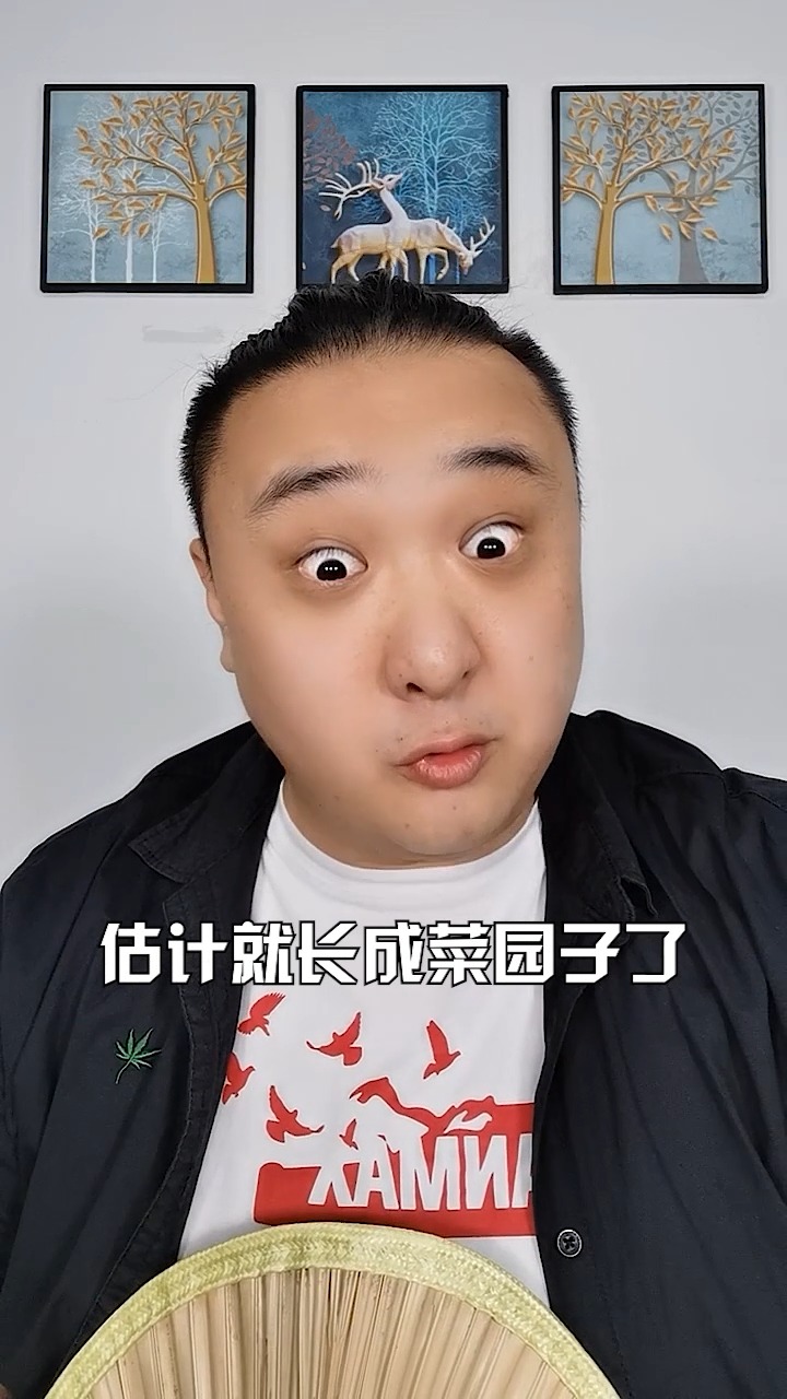 宿舍真是处处有奇迹啊~