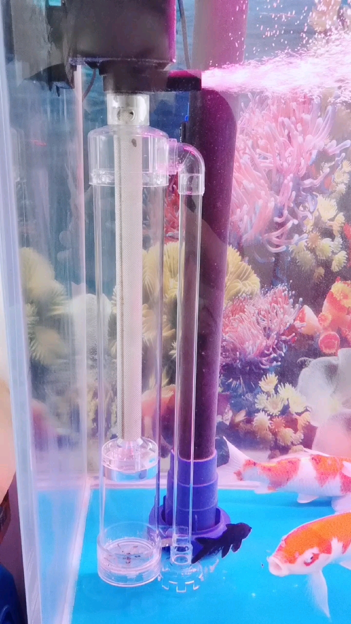 #养鱼法#鱼缸吸尘器,清理好帮手