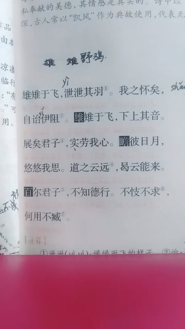 诗经 邶风 雄雉