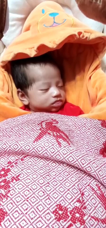 梦见大鸡腿了