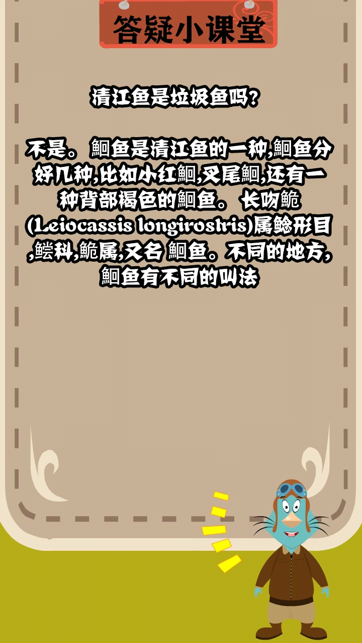清江鱼是垃圾鱼吗?