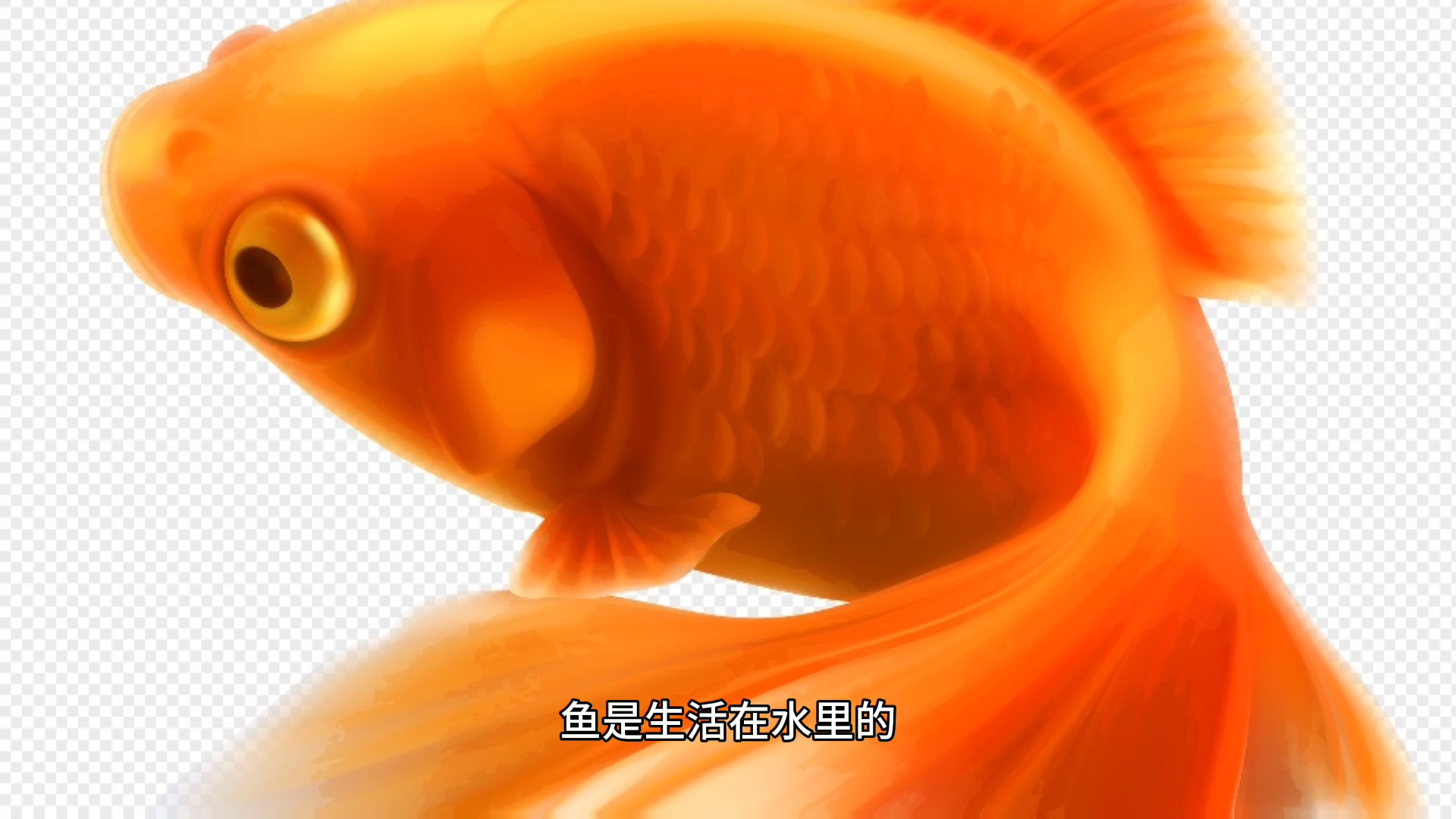 我知道鱼网和渔网哪个才是正确的
