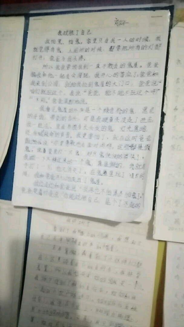 孩子们的作文。