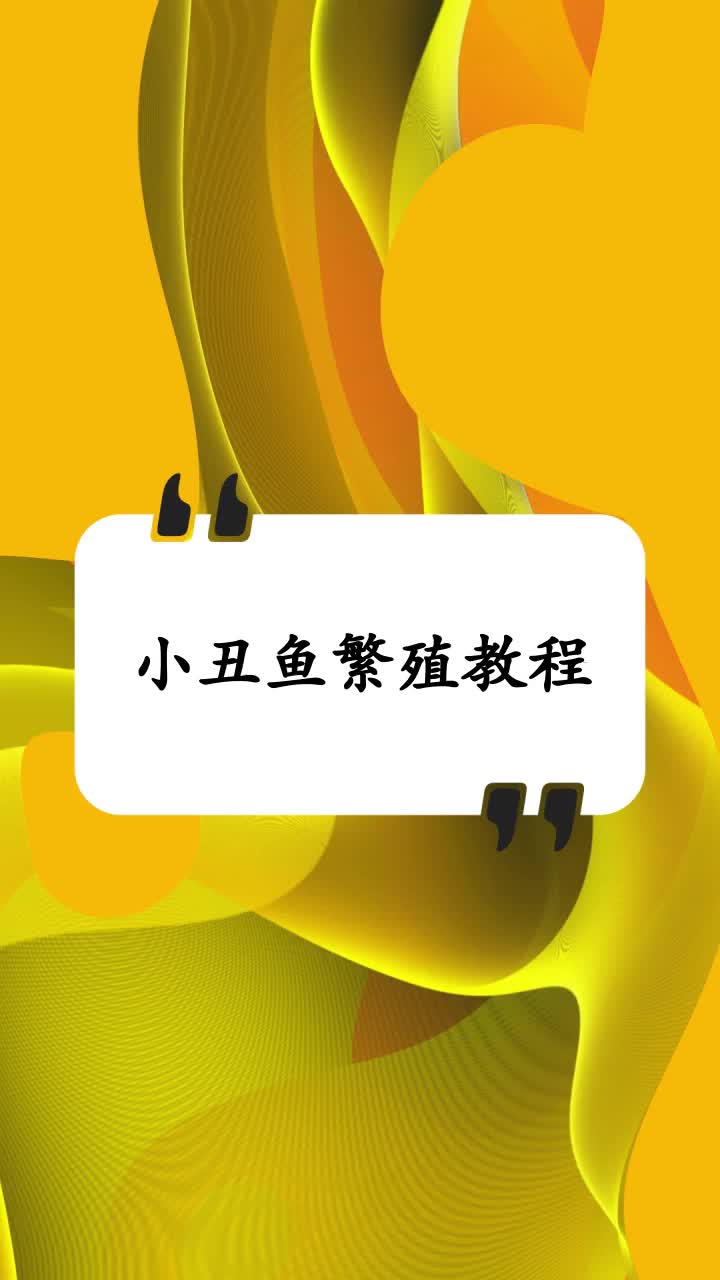 小丑鱼繁殖教程