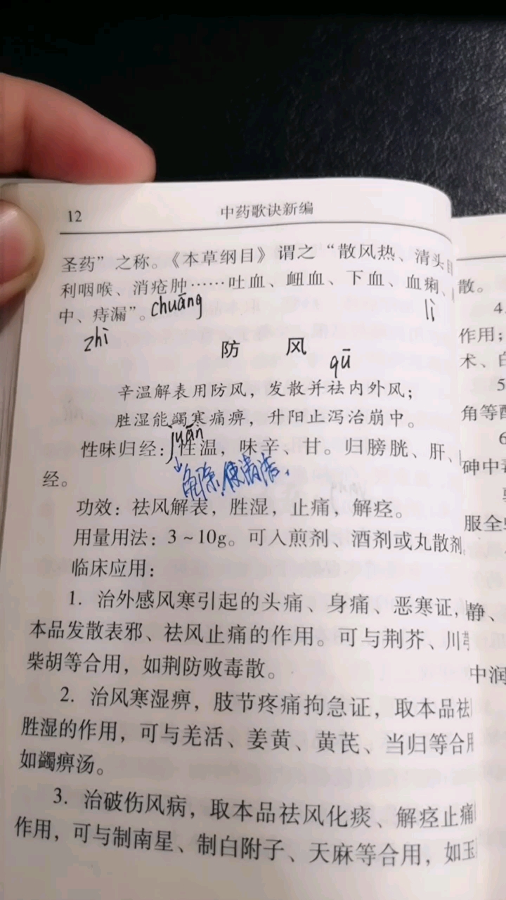 每天一味中草药,7防风～